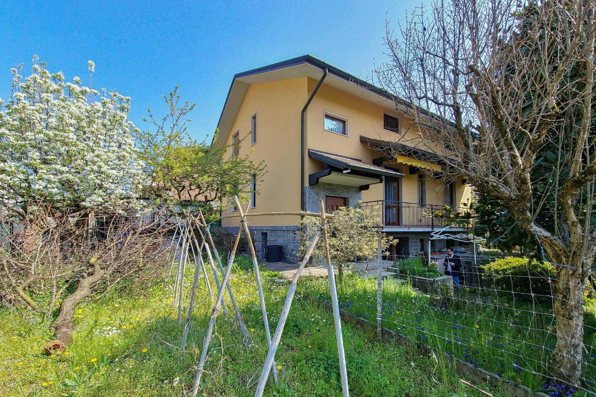 immagine annuncio 3 di 10