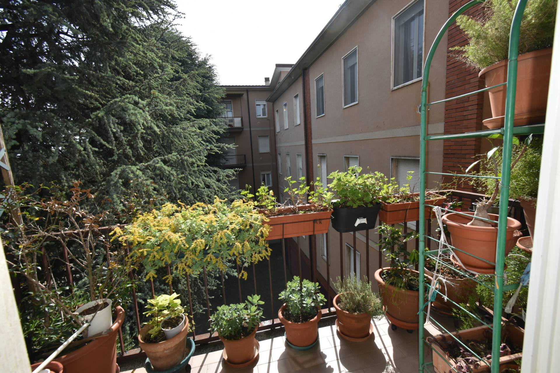 Appartamento in vendita a Bernareggio