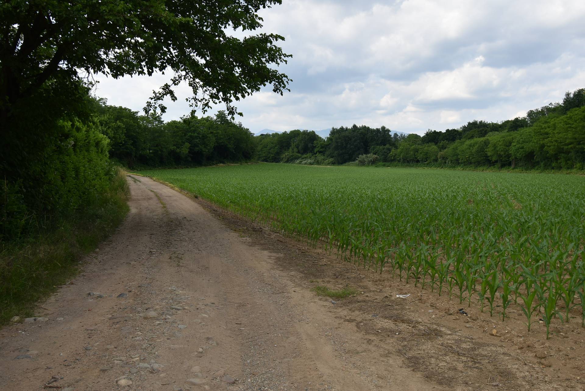 Terreno Agricolo in vendita a Aicurzio, Cascina Castel Negrino
