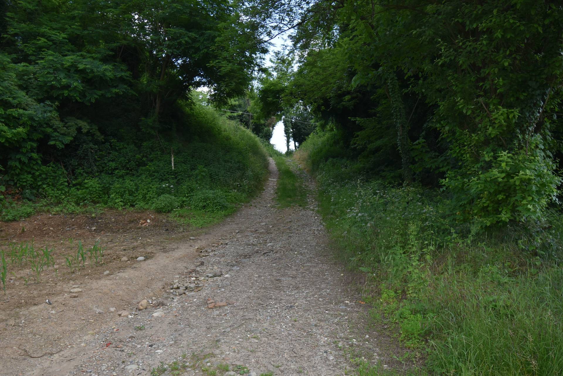Terreno Agricolo in vendita a Aicurzio, Cascina Castel Negrino