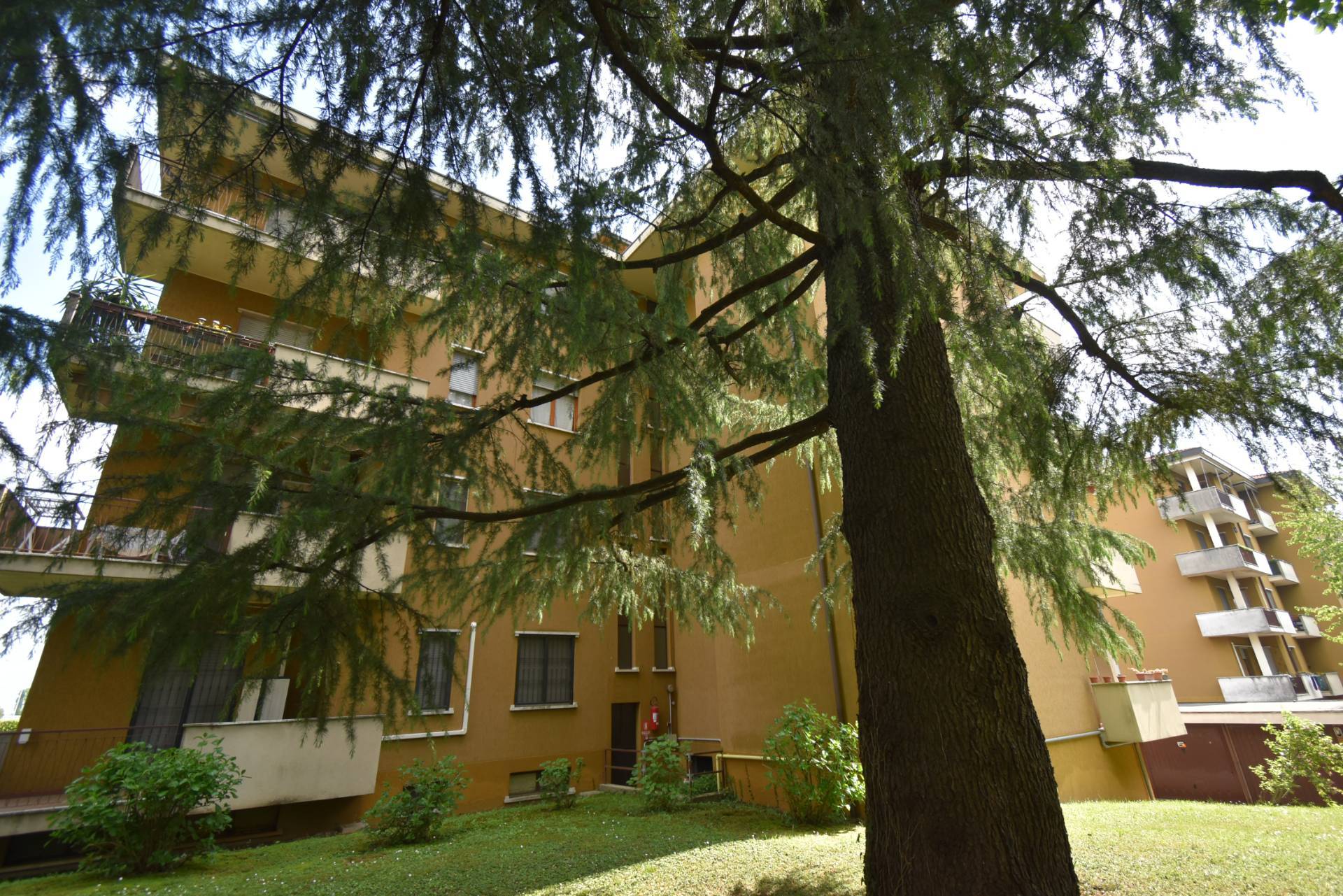 Appartamento in vendita a Bernareggio