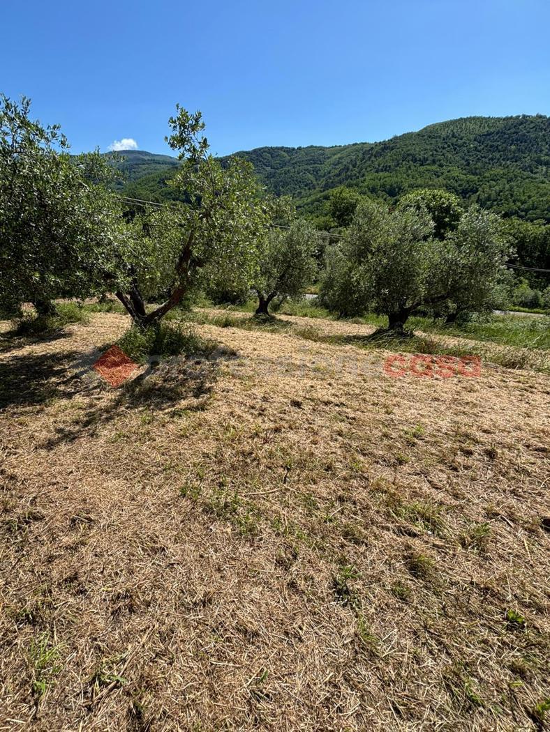 Terreno Agricolo in vendita a Pistoia