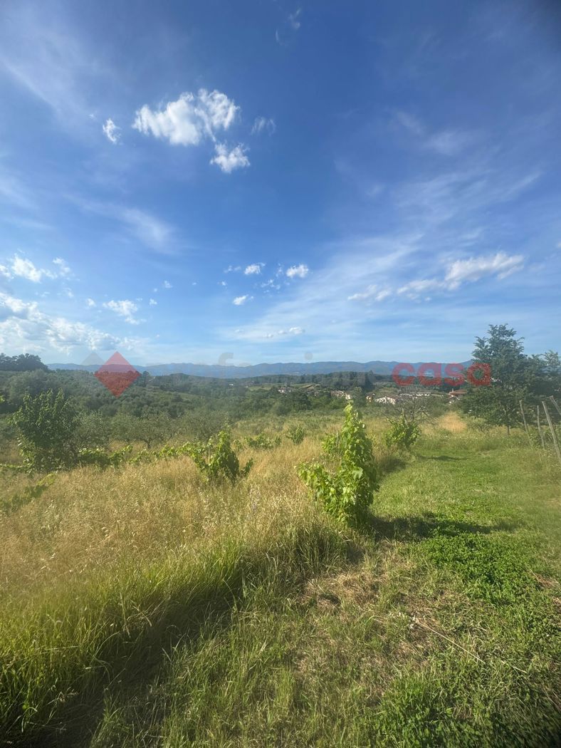 Terreno Agricolo in vendita a Quarrata