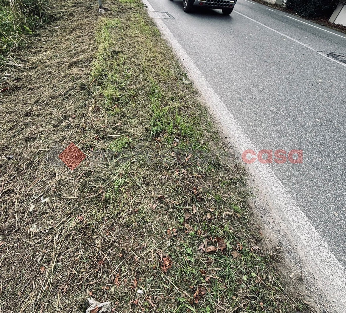 Terreno Agricolo in vendita a Pistoia