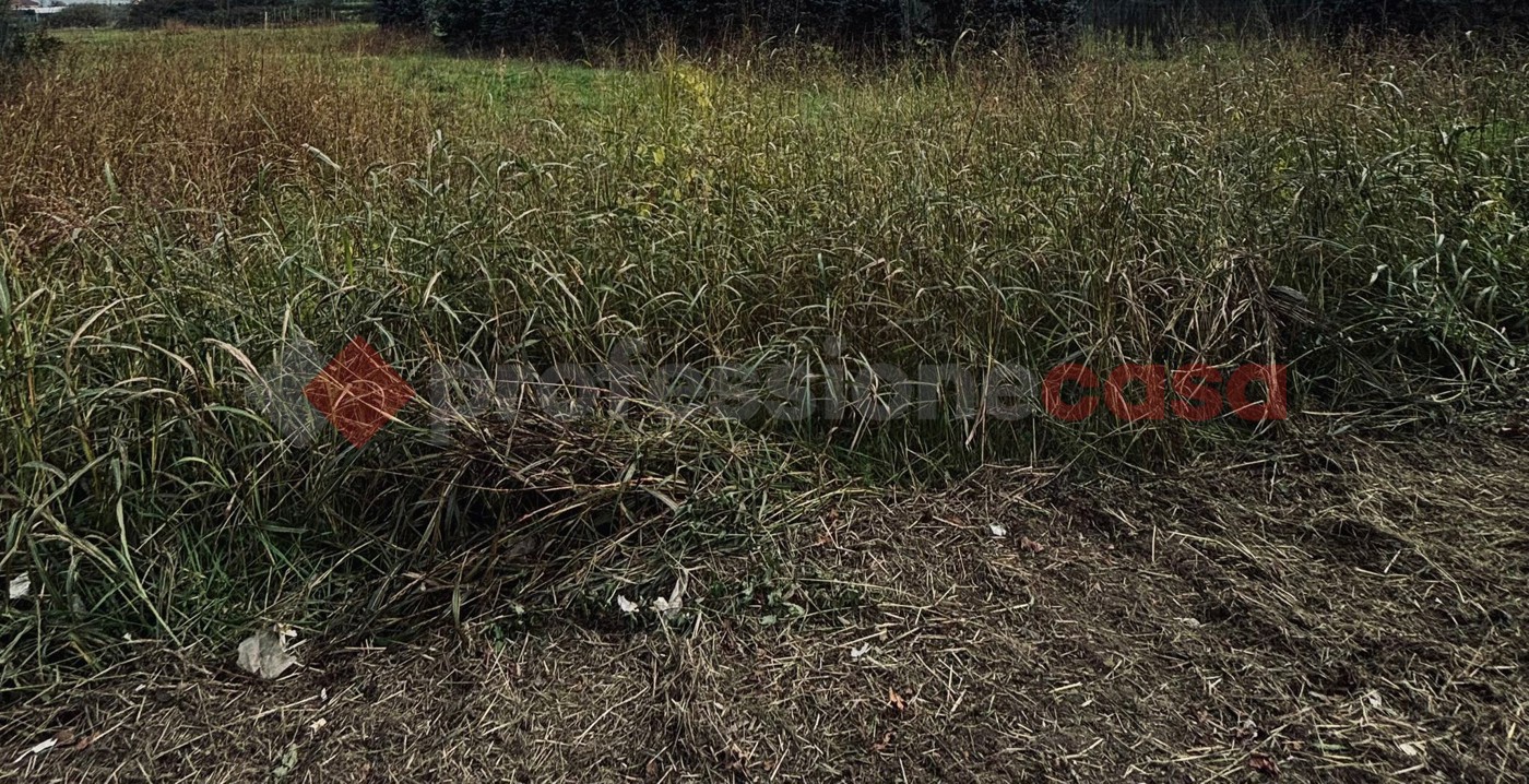 Terreno Agricolo in vendita a Pistoia