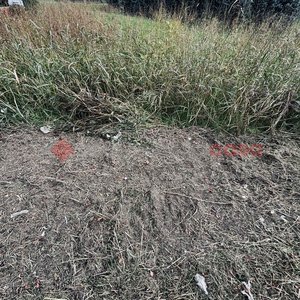 Terreno Agricolo in vendita a Pistoia