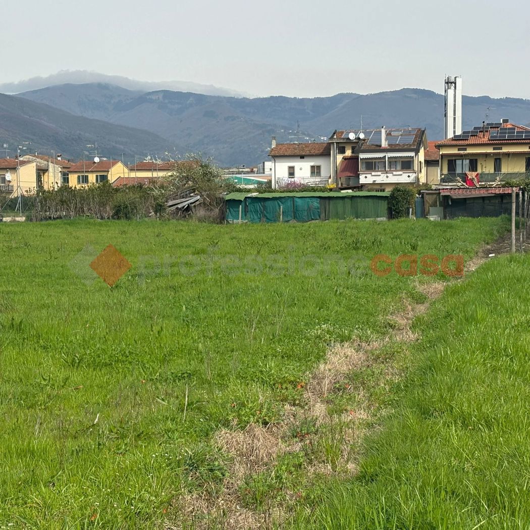 Terreno Agricolo in vendita a Montale
