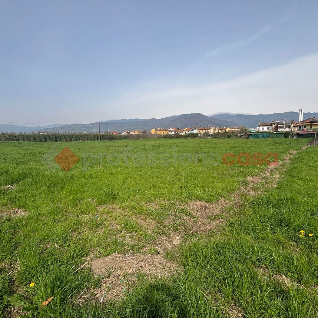 Terreno Agricolo in vendita a Montale