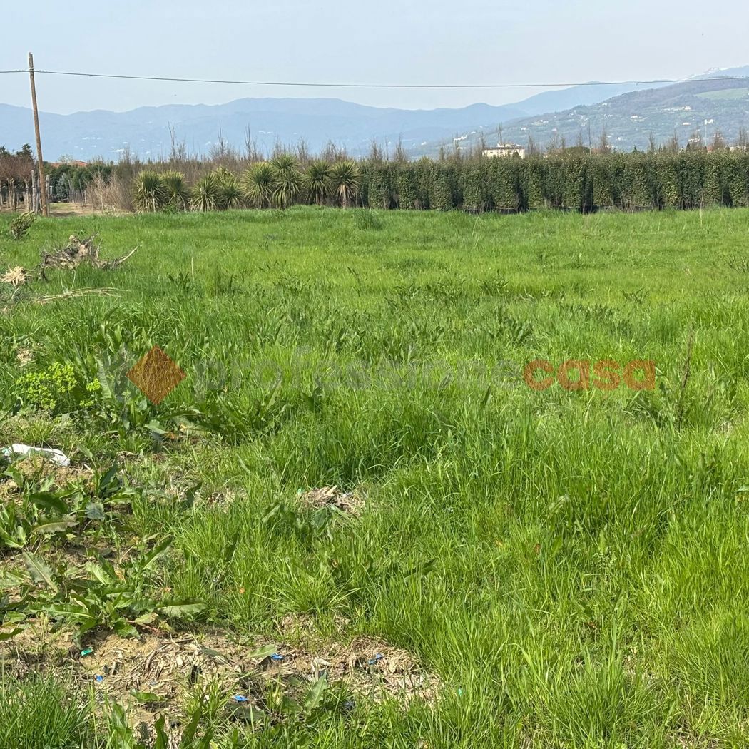 Terreno Agricolo in vendita a Montale
