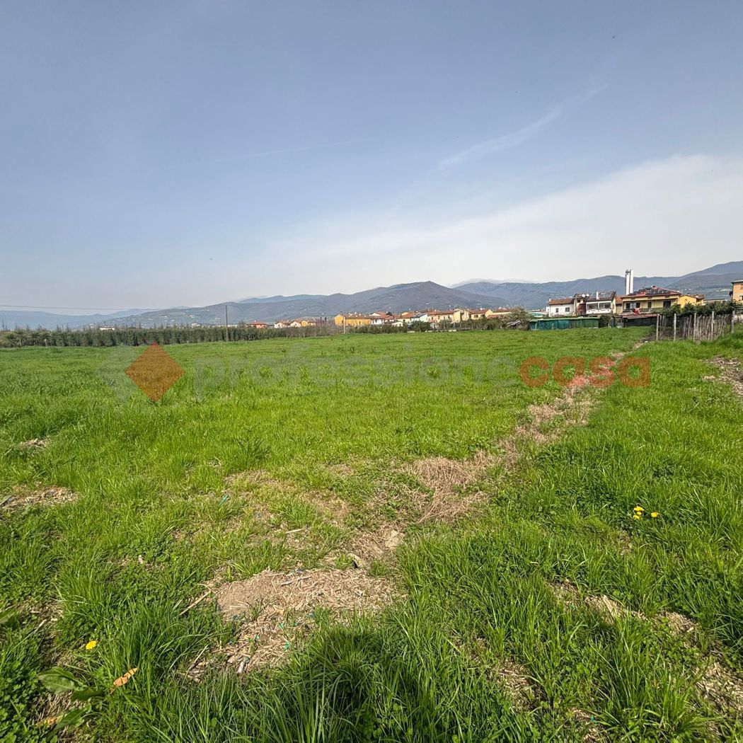 Terreno Agricolo in vendita a Montale