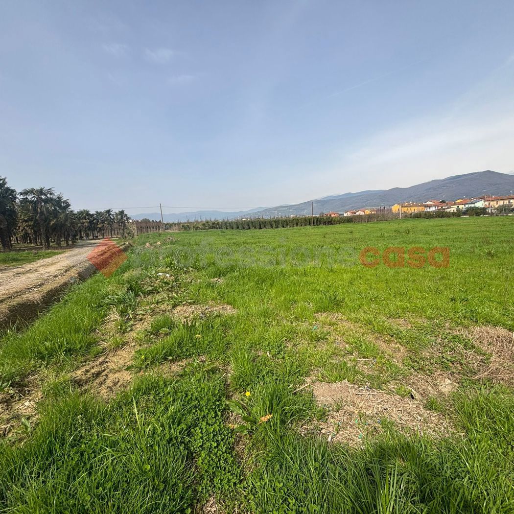 Terreno Agricolo in vendita a Montale