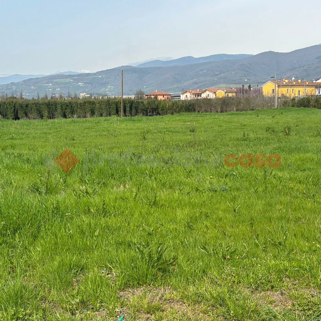 Terreno Agricolo in vendita a Montale