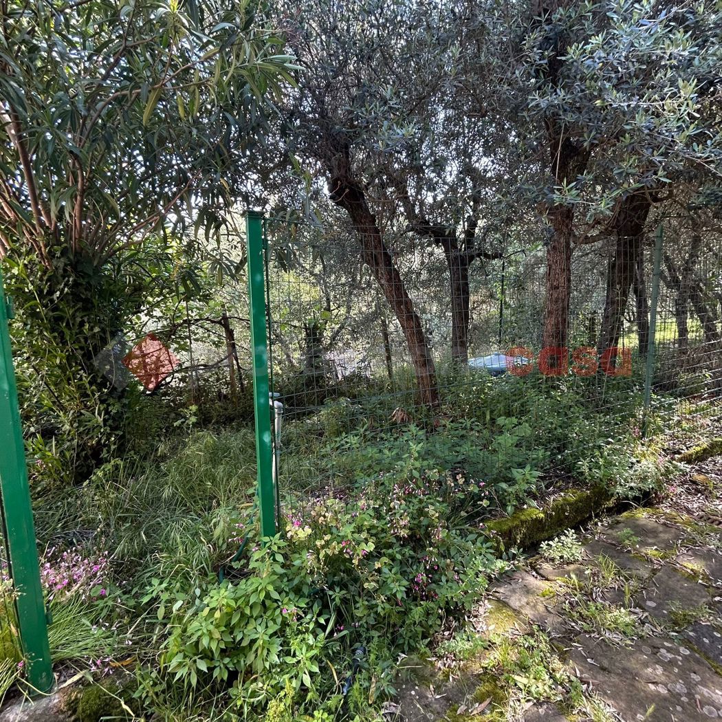 Trilocale in affitto a Quarrata