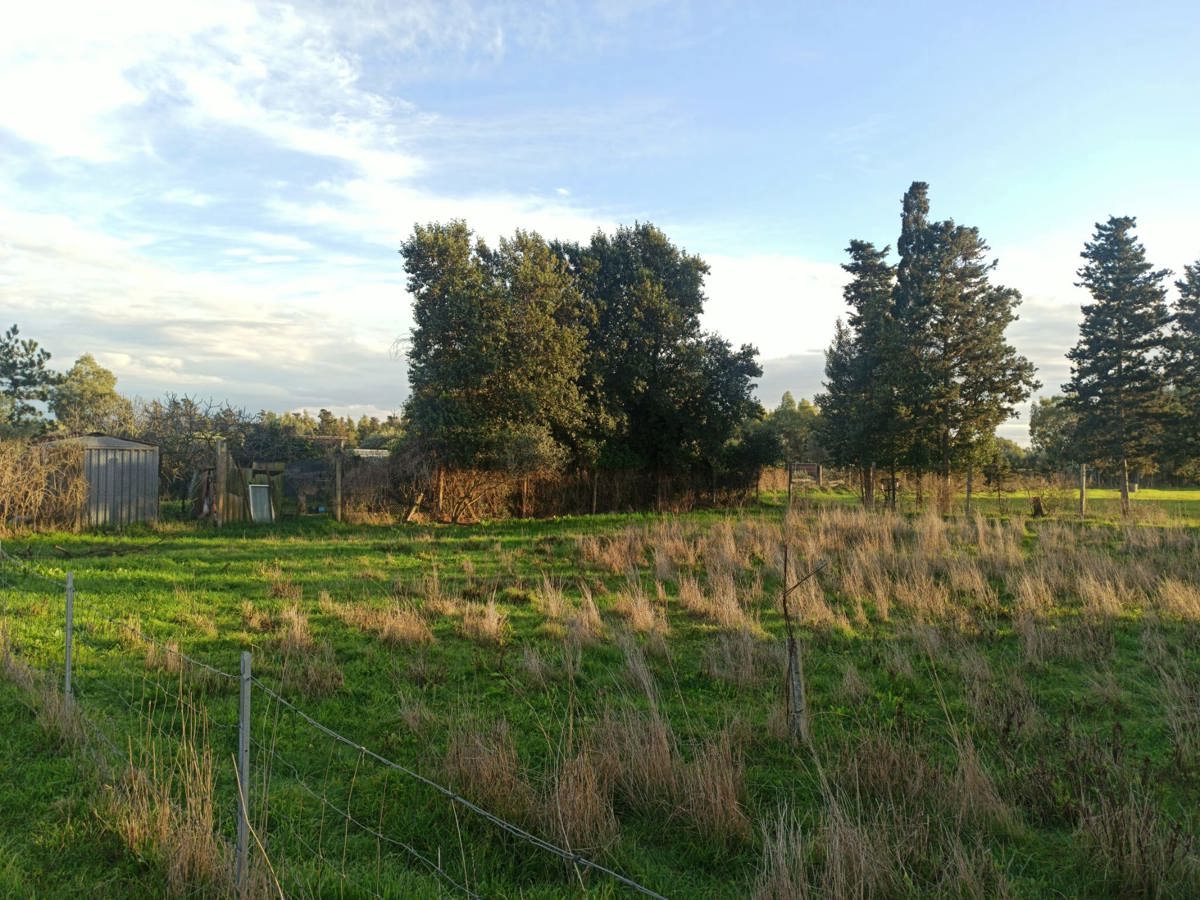 Terreno Agricolo in vendita a Oristano