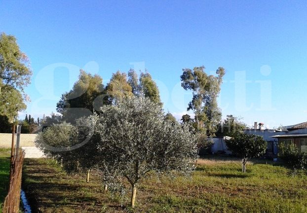 Terreno Agricolo in vendita a Oristano