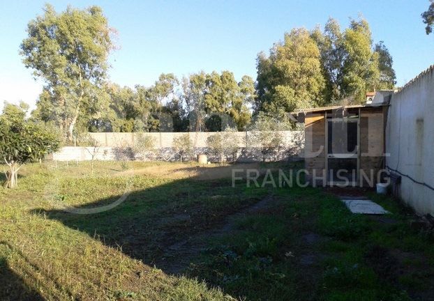 Terreno Agricolo in vendita a Oristano