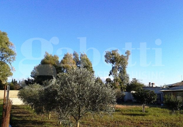Terreno Agricolo in vendita a Oristano