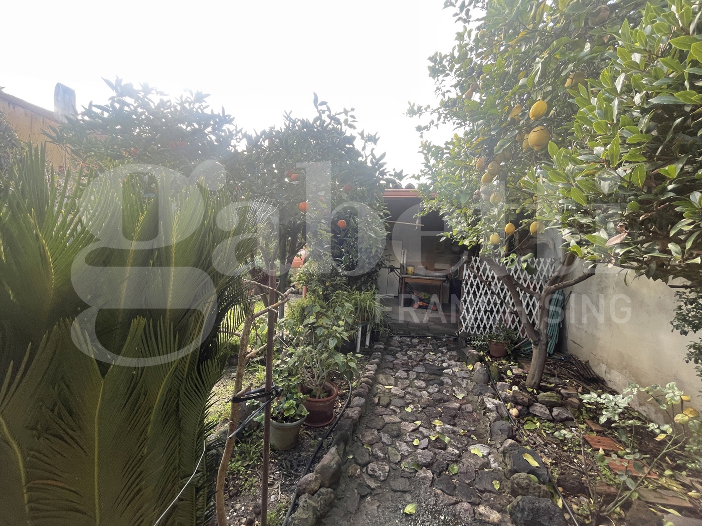 Casa indipendente con giardino a Terralba