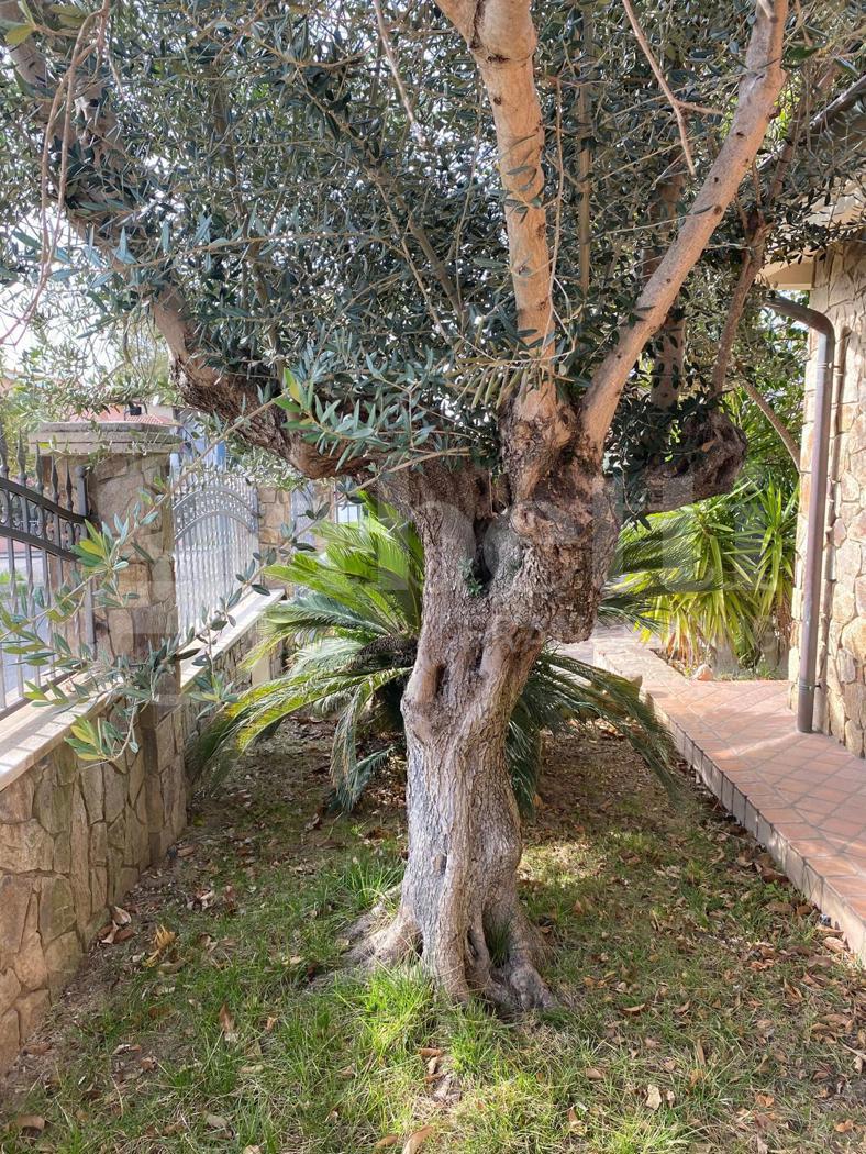 Villa in vendita a Santa Giusta