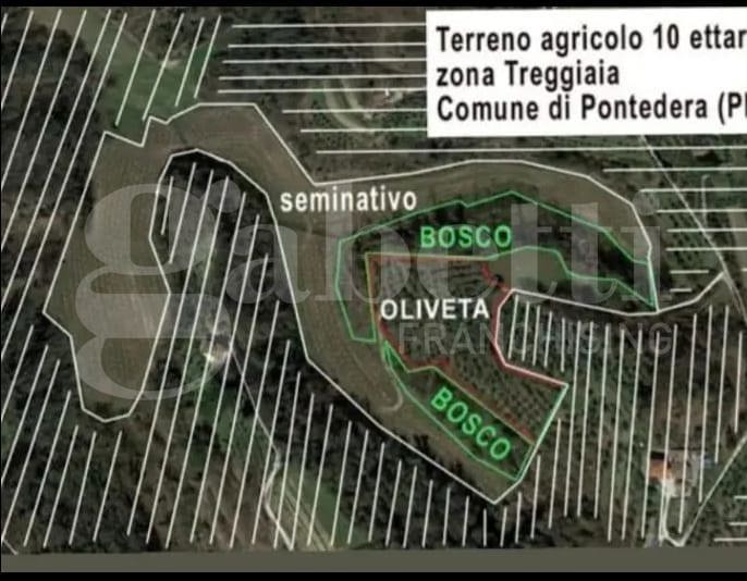 Terreno Agricolo in vendita a Pontedera