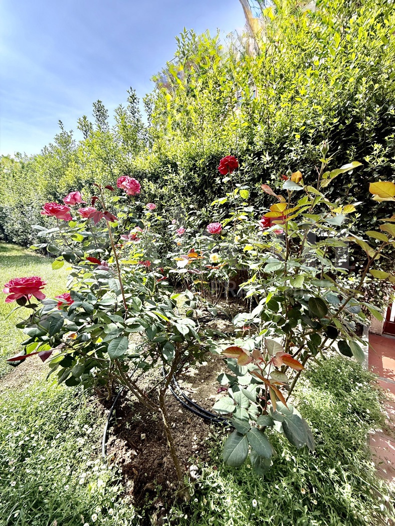Villa con giardino a Santa Croce sull'Arno