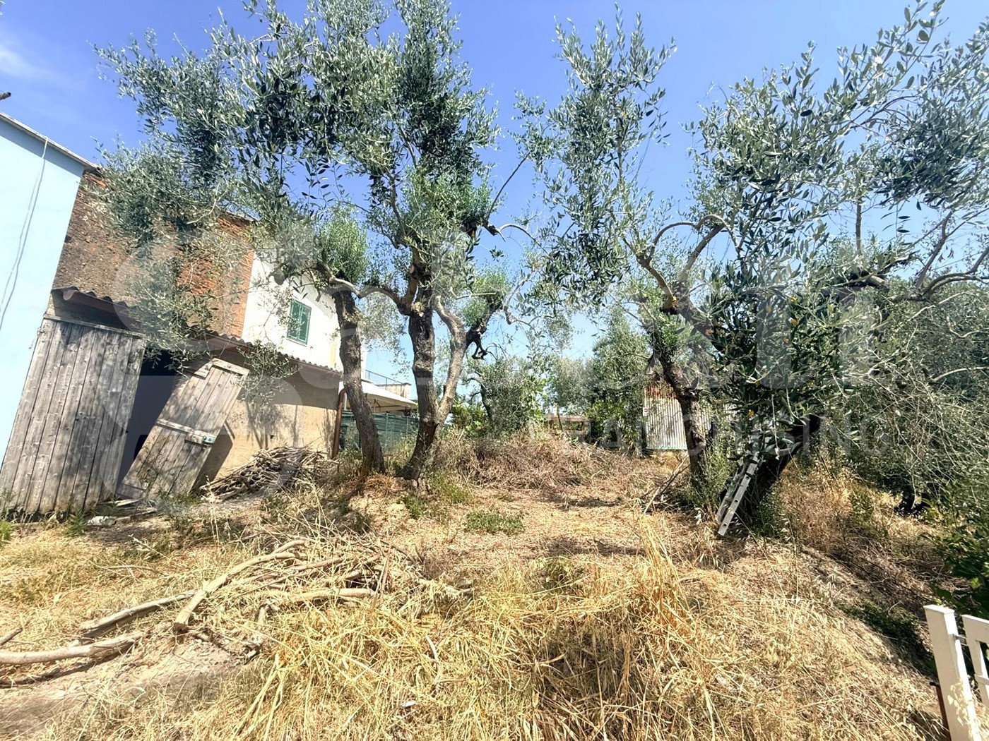 Rustico con giardino a Empoli