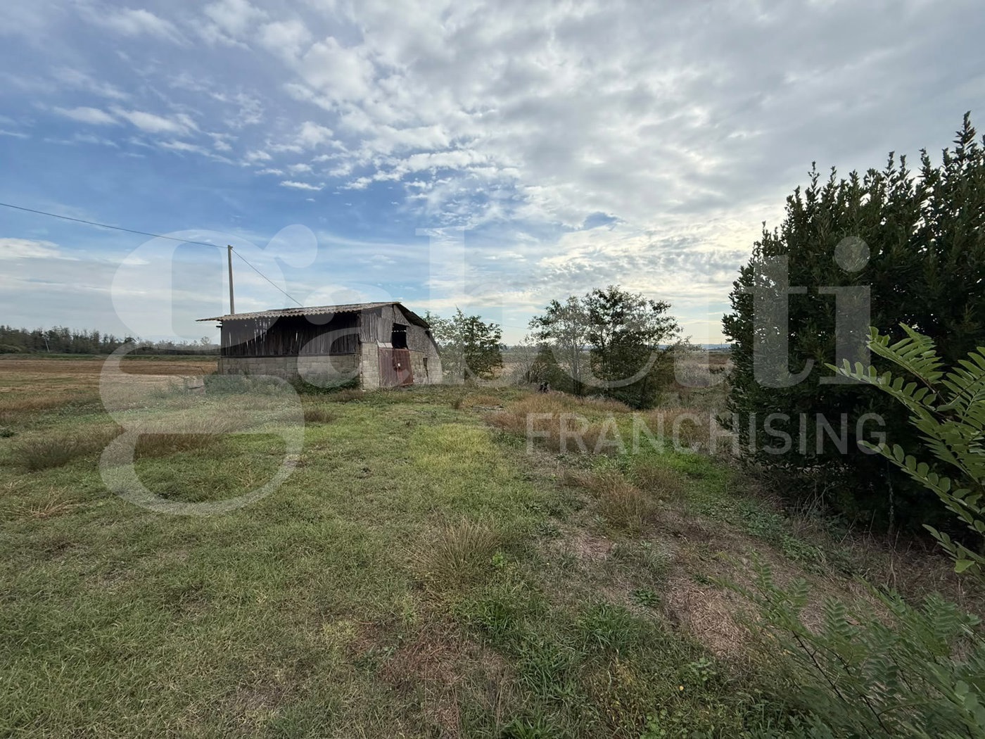 Terreno Agricolo in vendita a Bientina