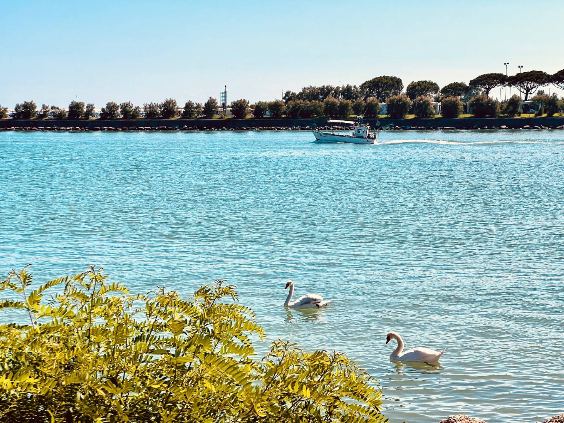 Appartamento in vendita a Caorle