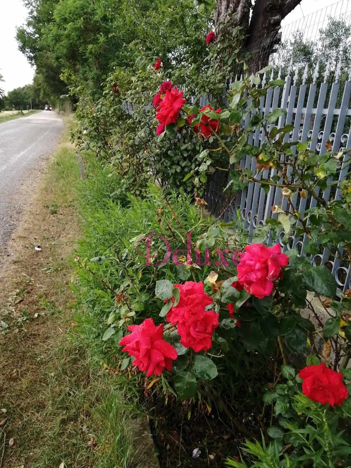Appartamento in affitto a San Ginesio