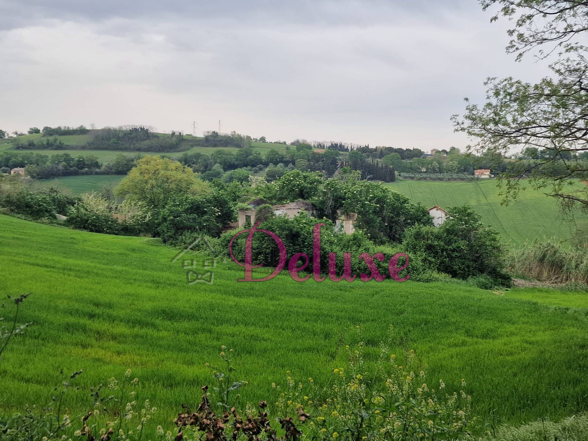 Rustico in vendita a Montecosaro