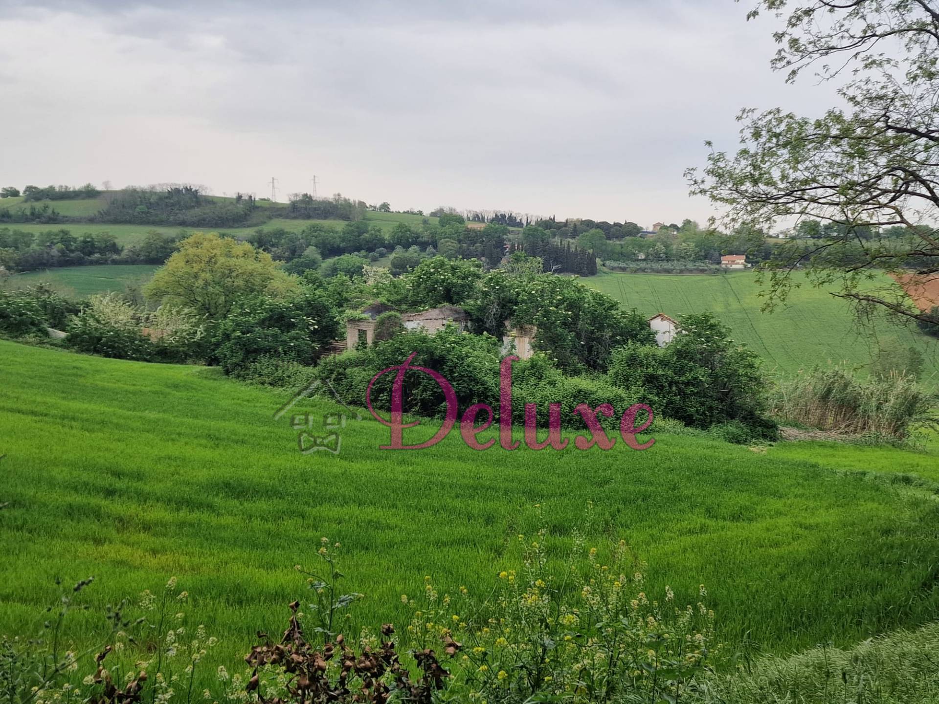 immagine annuncio 1 di 8