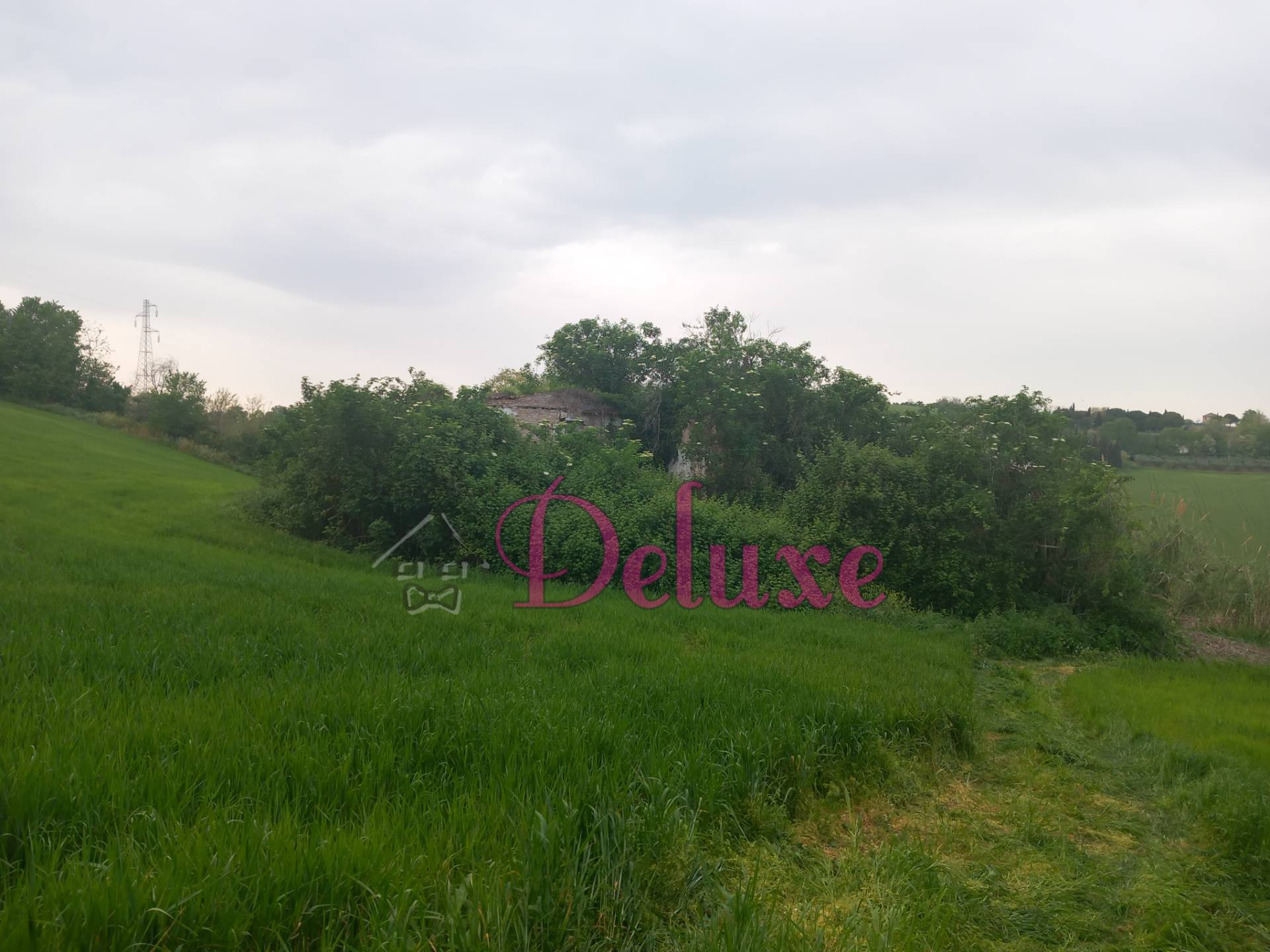 immagine annuncio 2 di 8