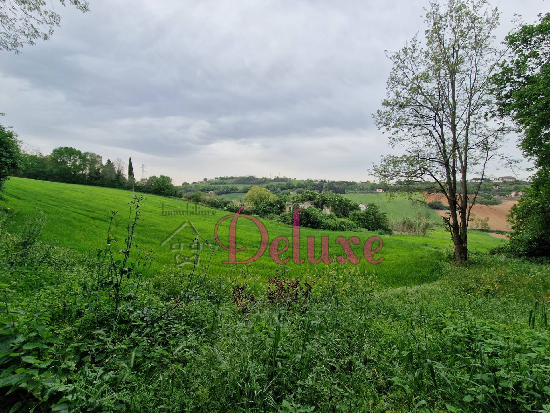 immagine annuncio 3 di 8