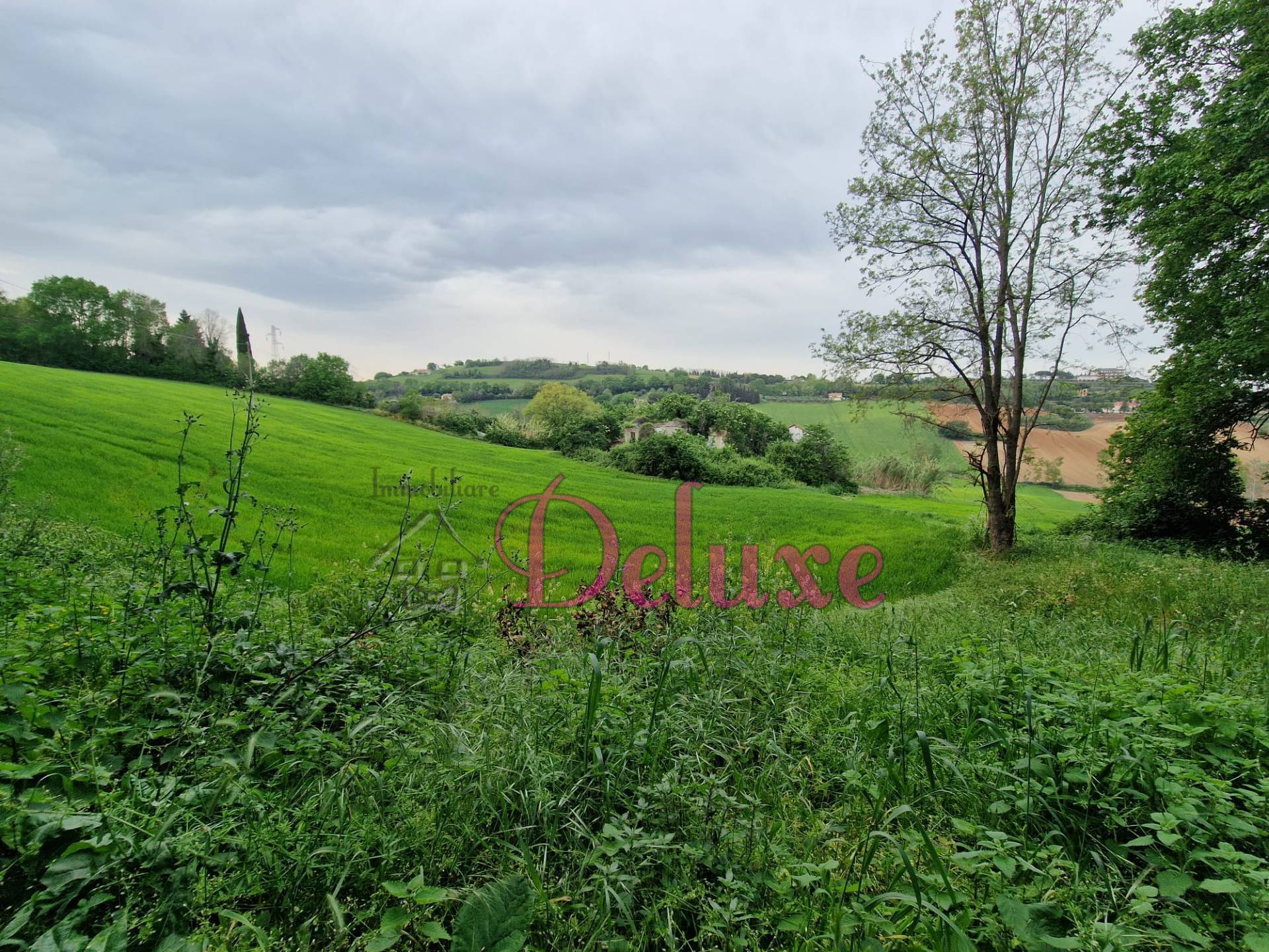 immagine annuncio 4 di 8