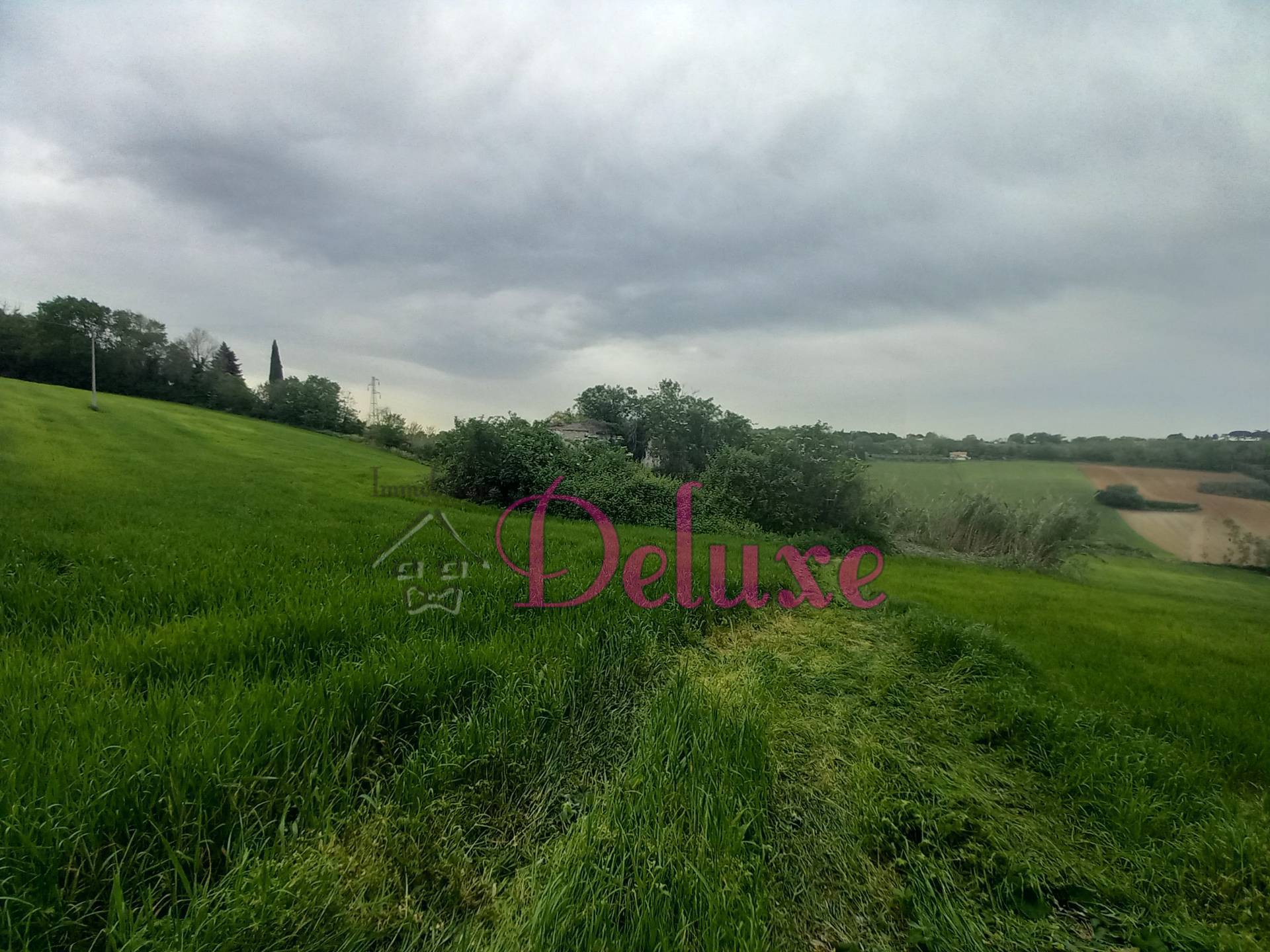 immagine annuncio 5 di 8