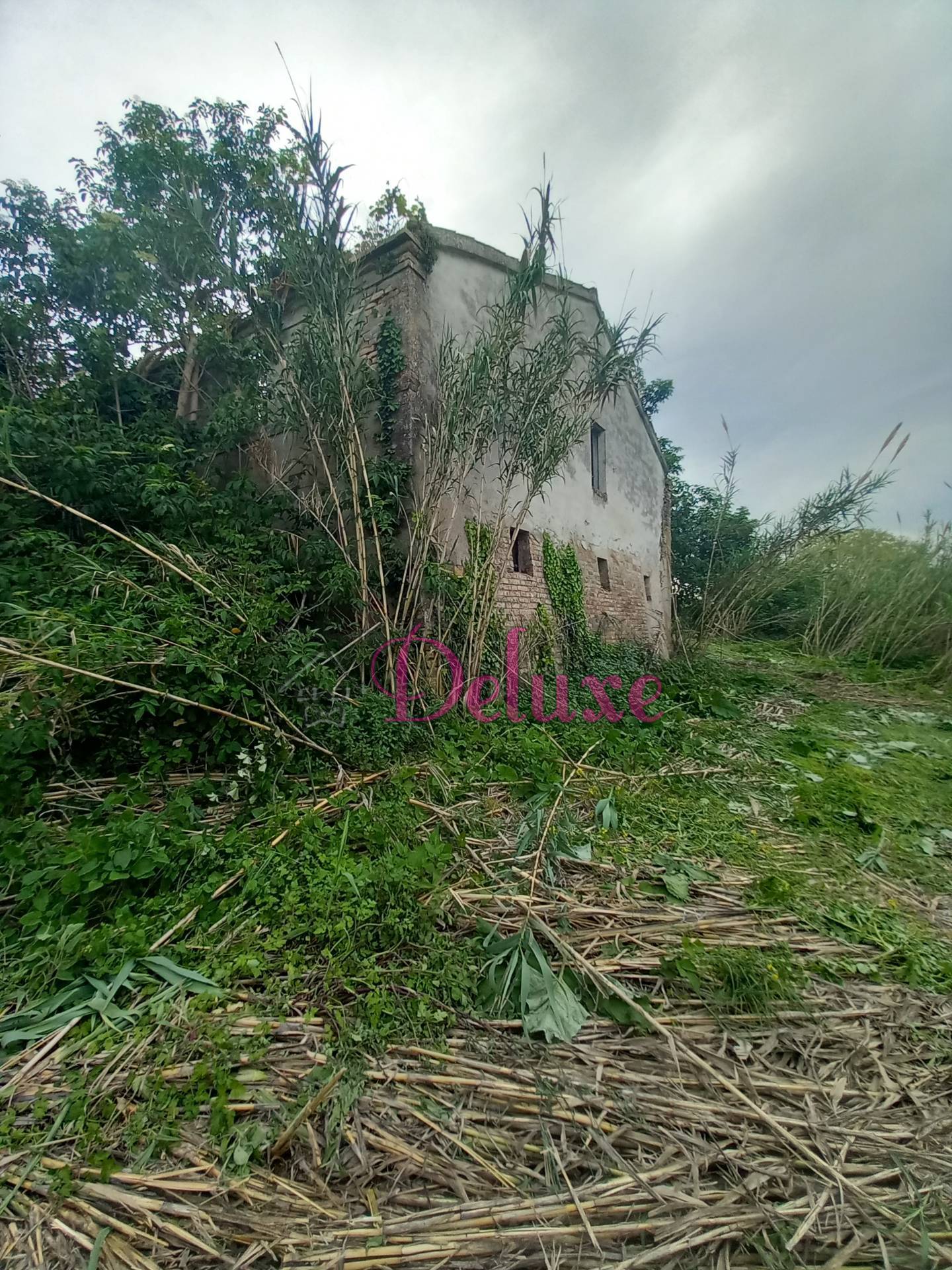 immagine annuncio 6 di 8