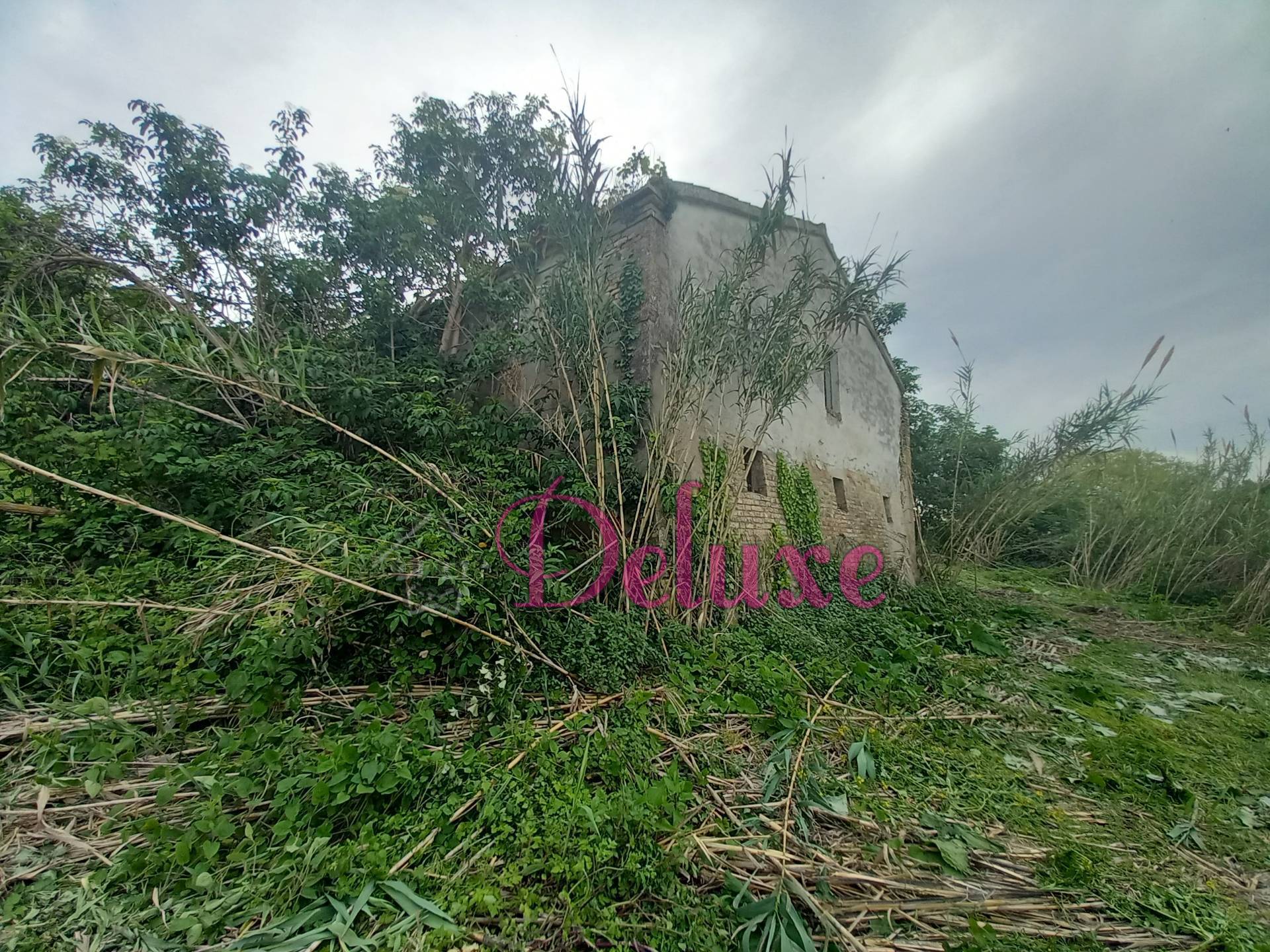 immagine annuncio 7 di 8