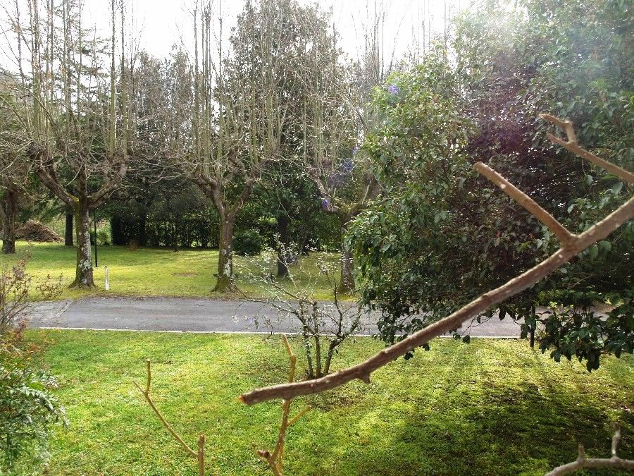 Villa con giardino a Camaiore