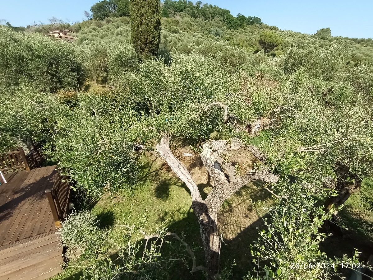 Rustico con giardino a Massarosa