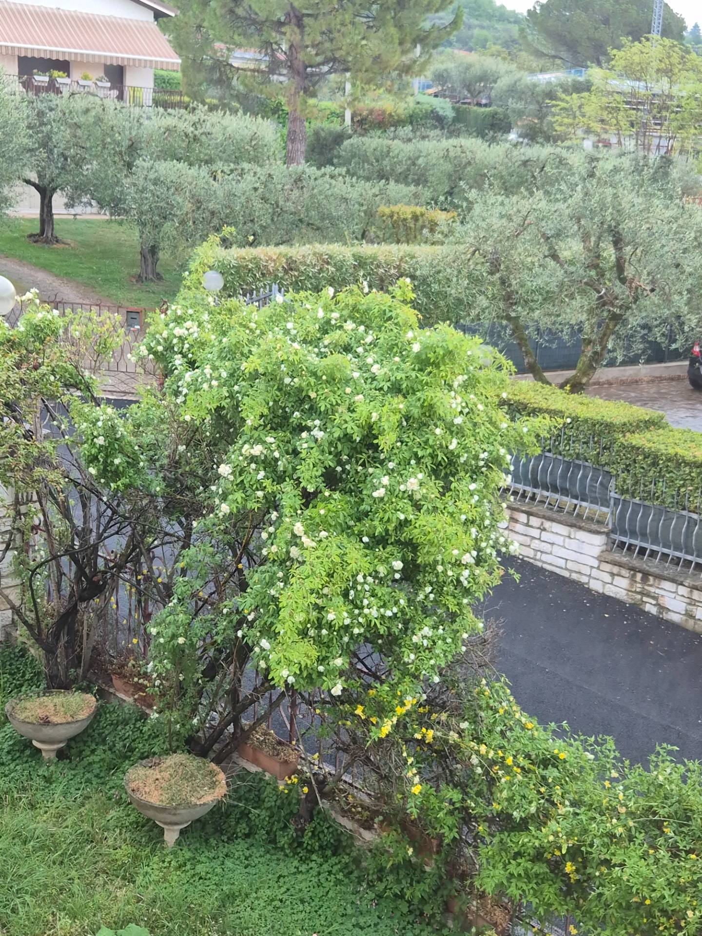 Villa Singola in vendita a Bardolino, Centro