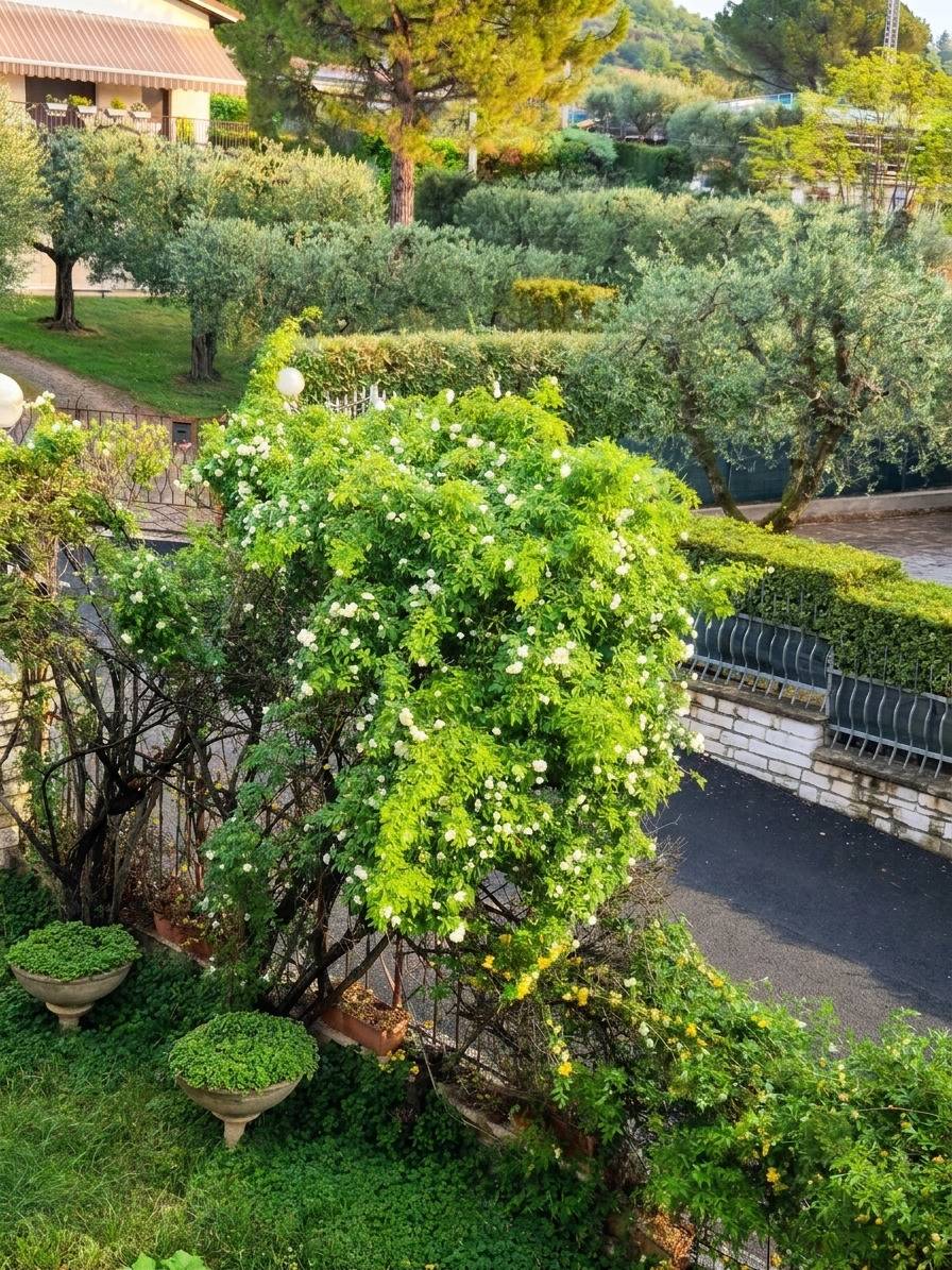 Villa Singola in vendita a Bardolino, Centro