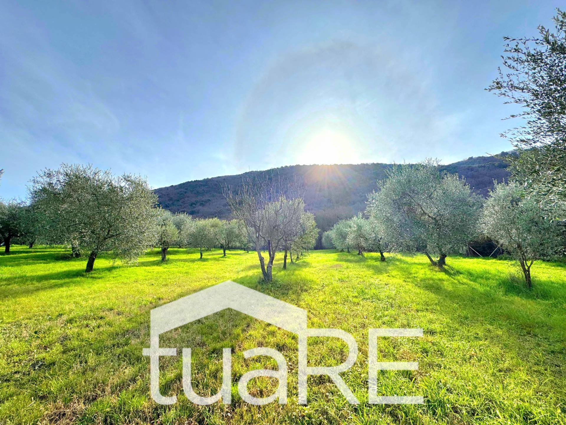 Terreno Agricolo in vendita a Castel Madama