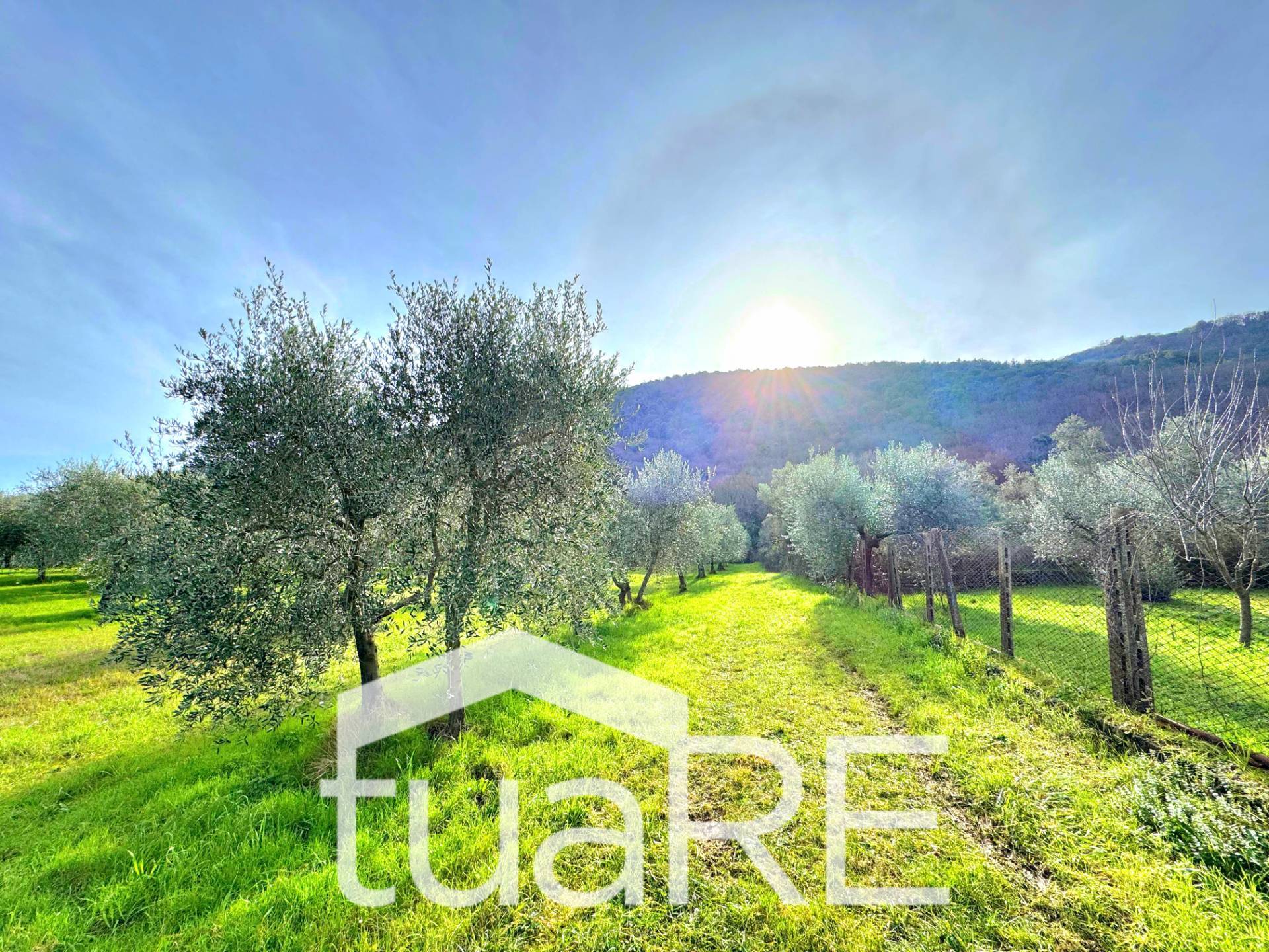 Terreno Agricolo in vendita a Castel Madama
