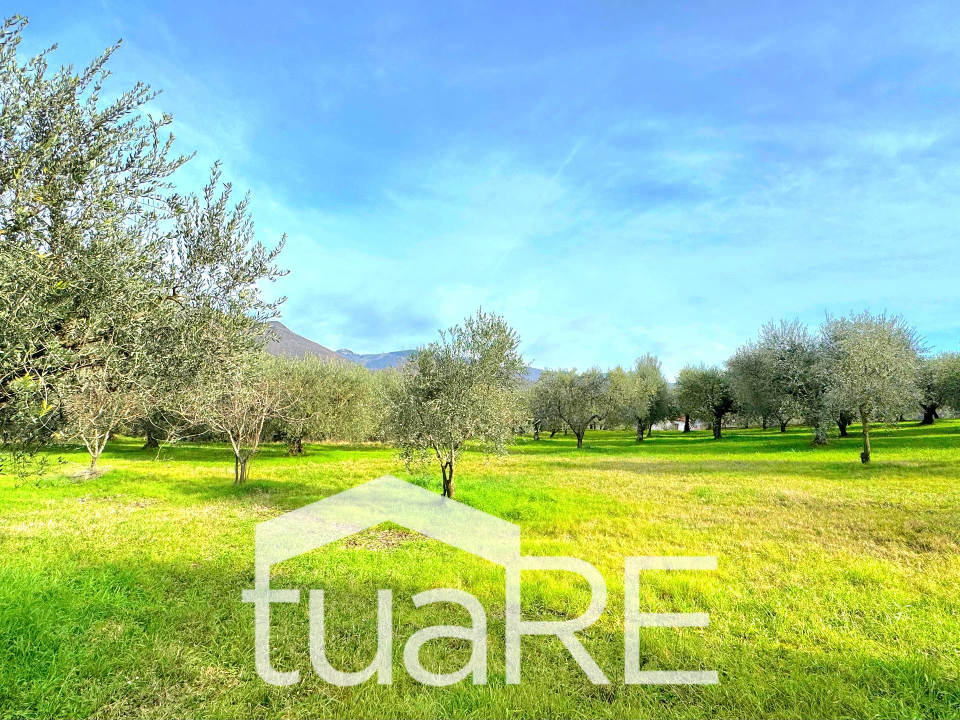 Terreno Agricolo in vendita a Castel Madama