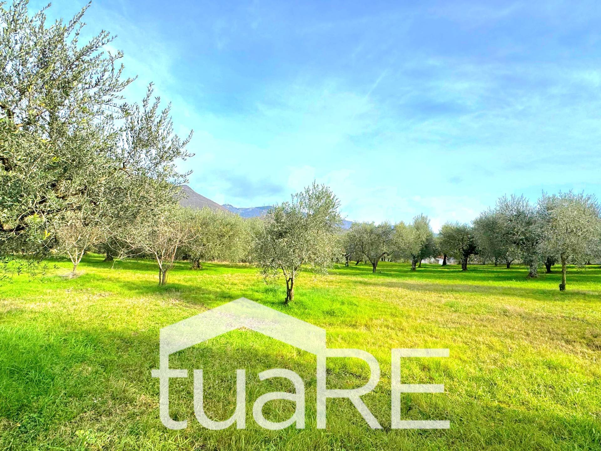 Terreno Agricolo in vendita a Castel Madama