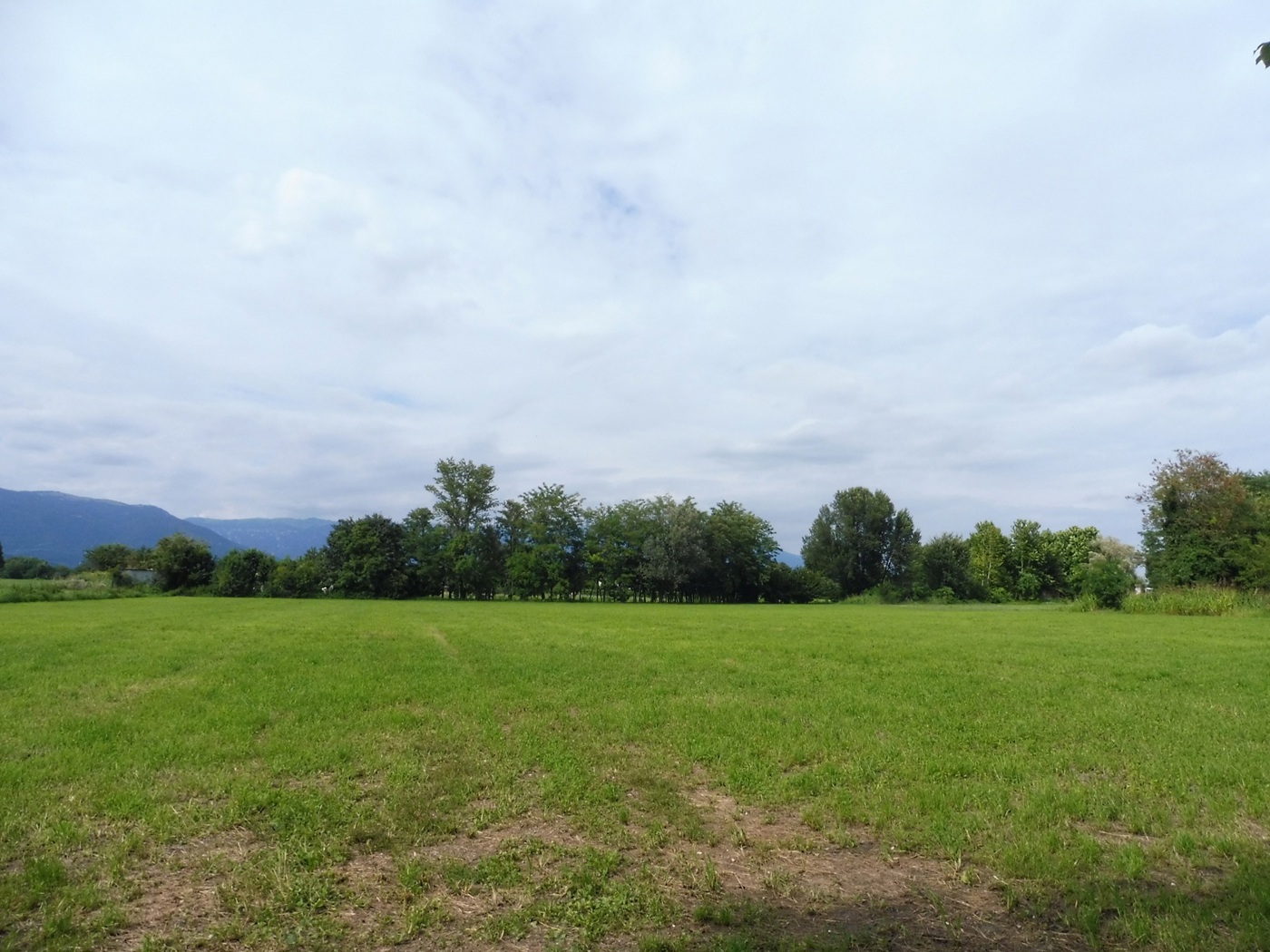 Terreno Agricolo in vendita a Cartigliano