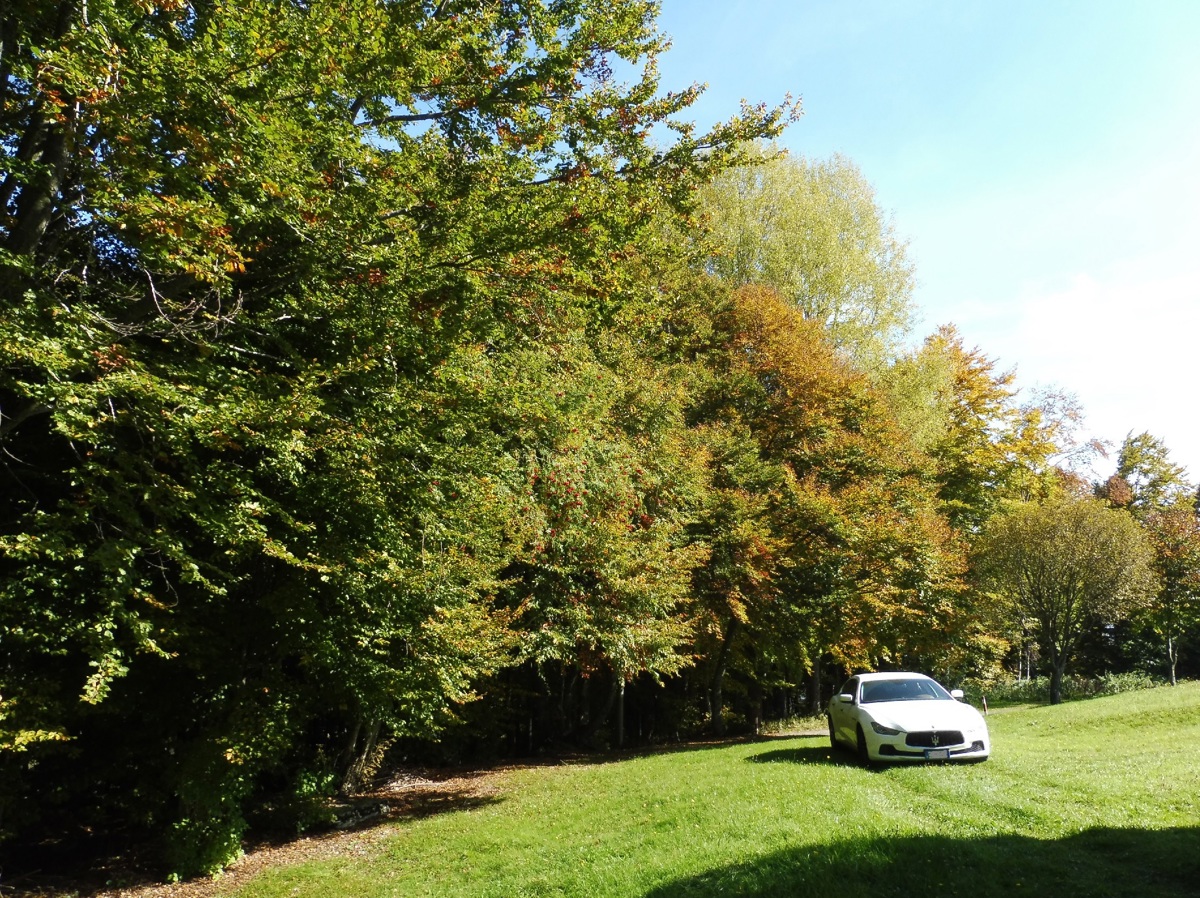 Villa con giardino a Solagna