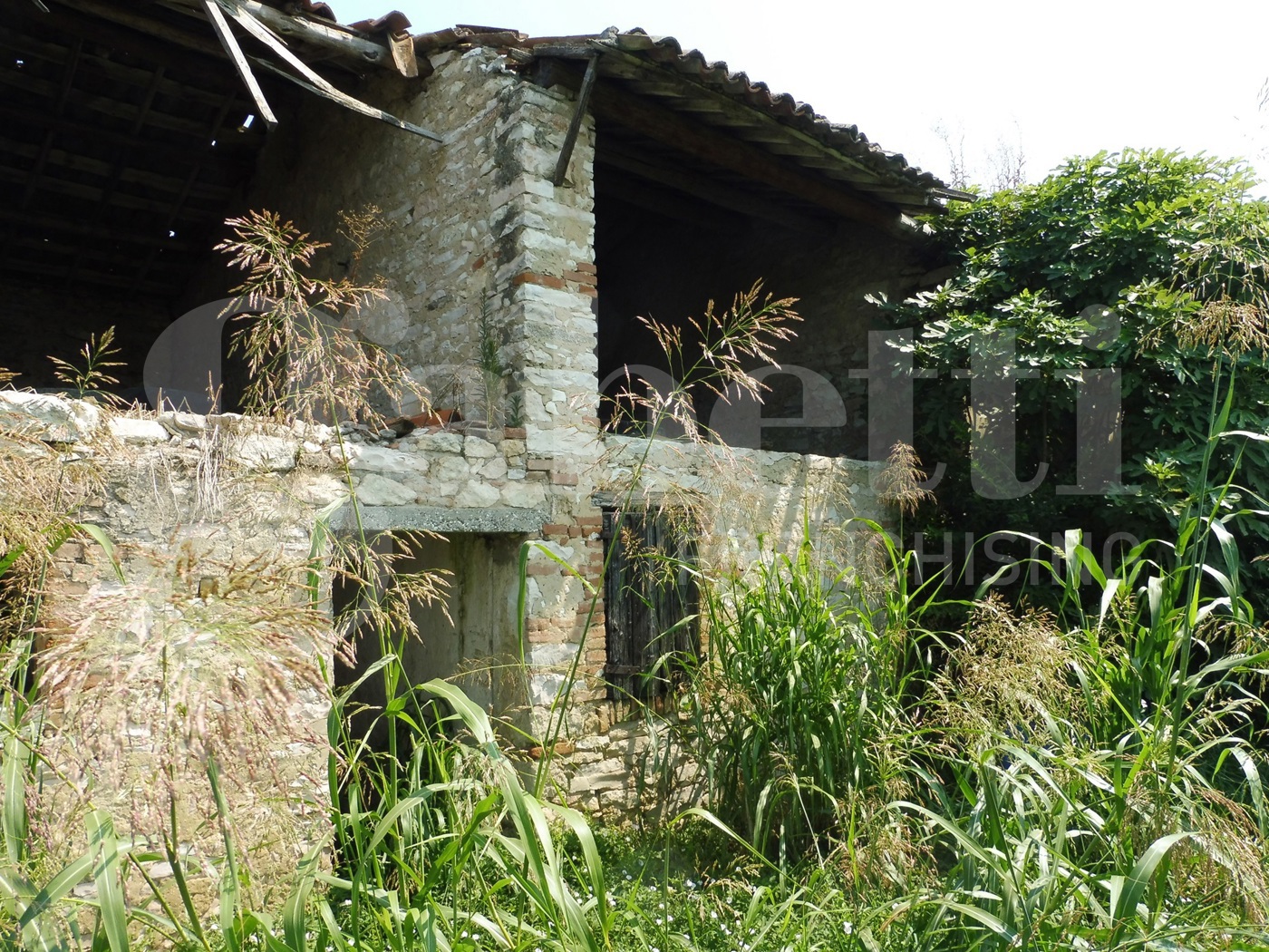 Rustico con giardino a Agugliaro
