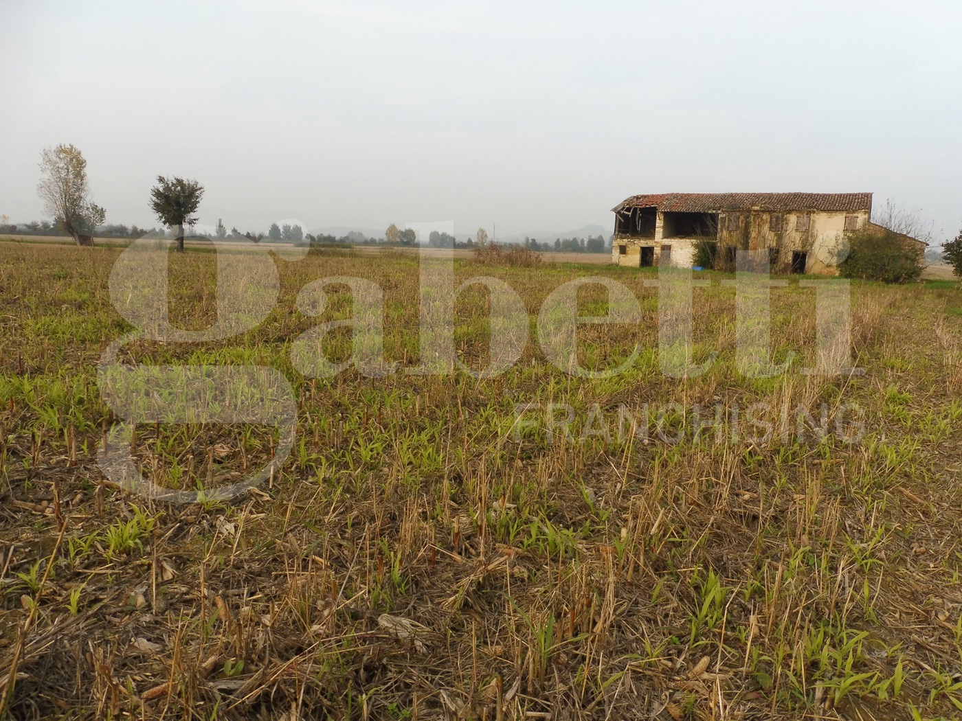 Terreno Agricolo in vendita a Agugliaro
