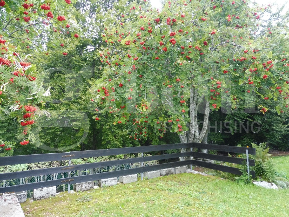 Villa con giardino a Solagna